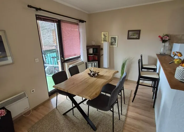 Daire Seki Saraybosna